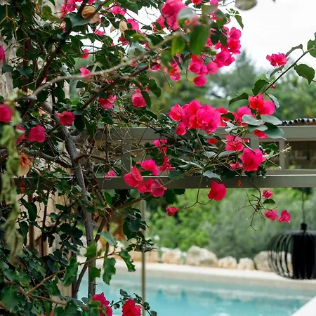 Spiti-manolis * Lévktron