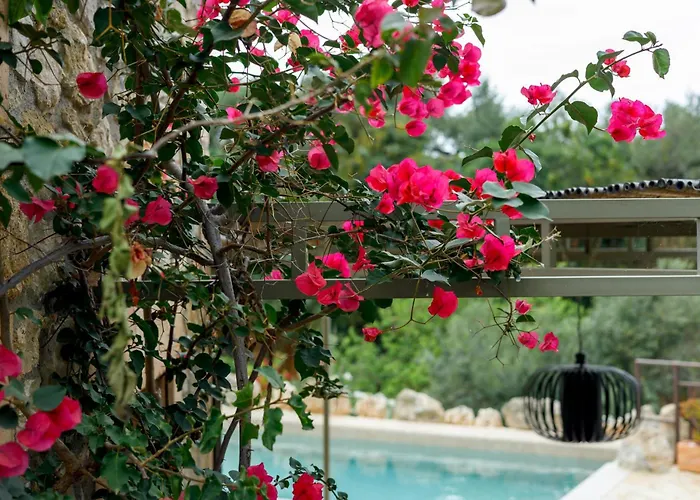 Spiti-manolis * Leuktron